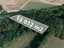 Prodej  lesa 13 012 m²